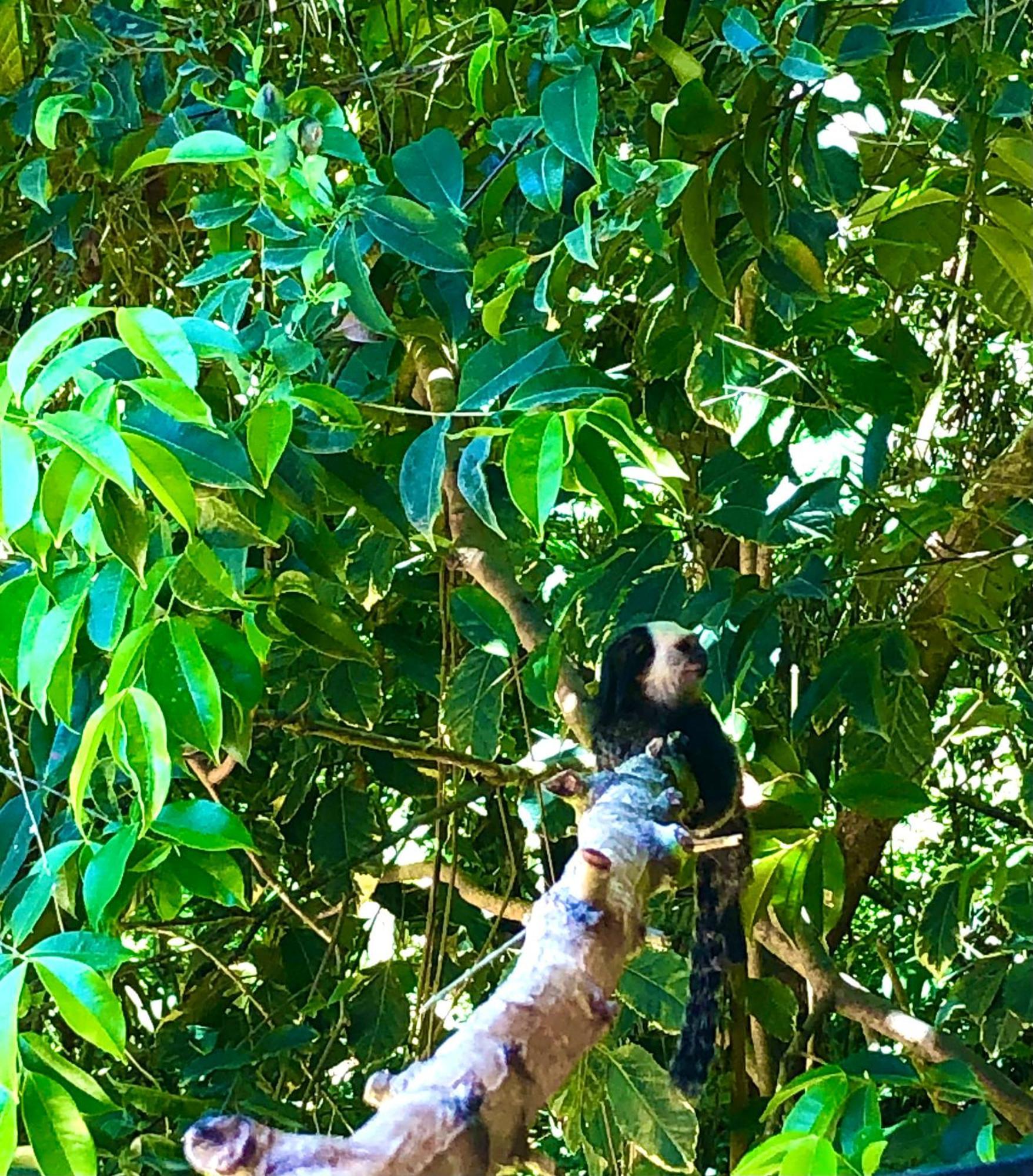 Eliza, Bangalo Vista Mar Em Trancoso Villa Exteriör bild